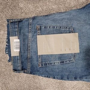 Everlane Japanese Denim Cheeky Jean